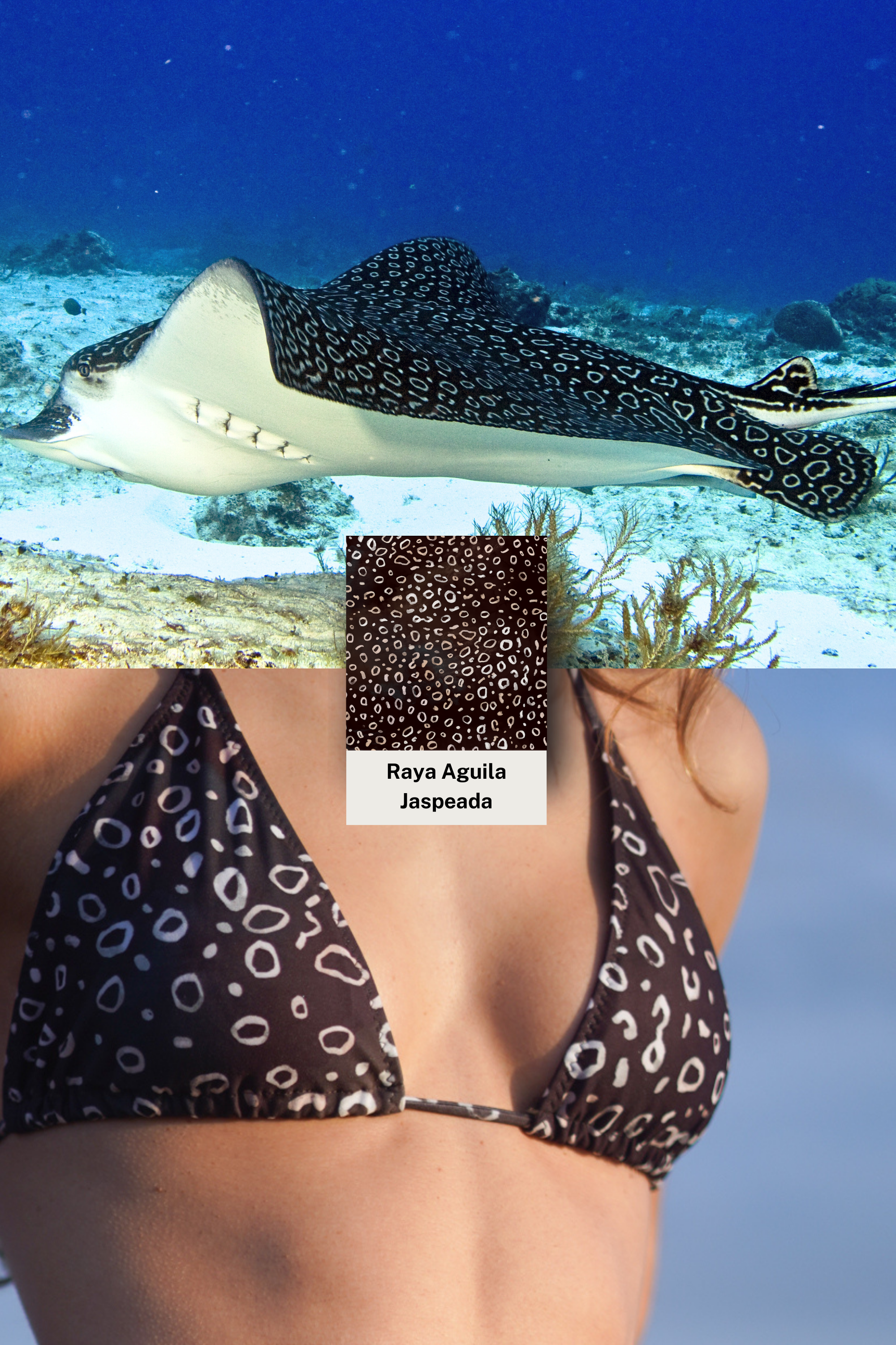Bikini Piel Raya Águila