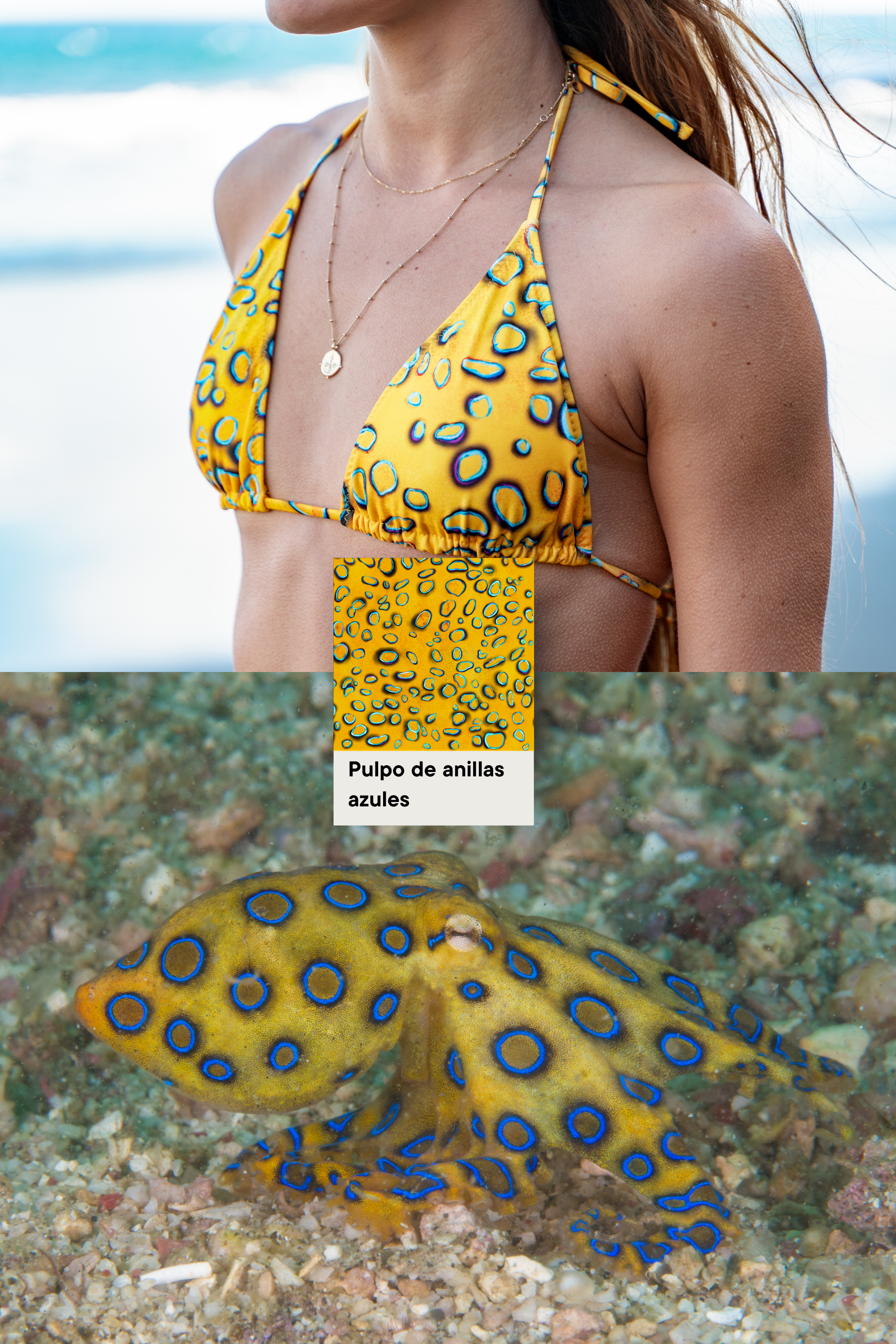 Bikini Piel Pulpo