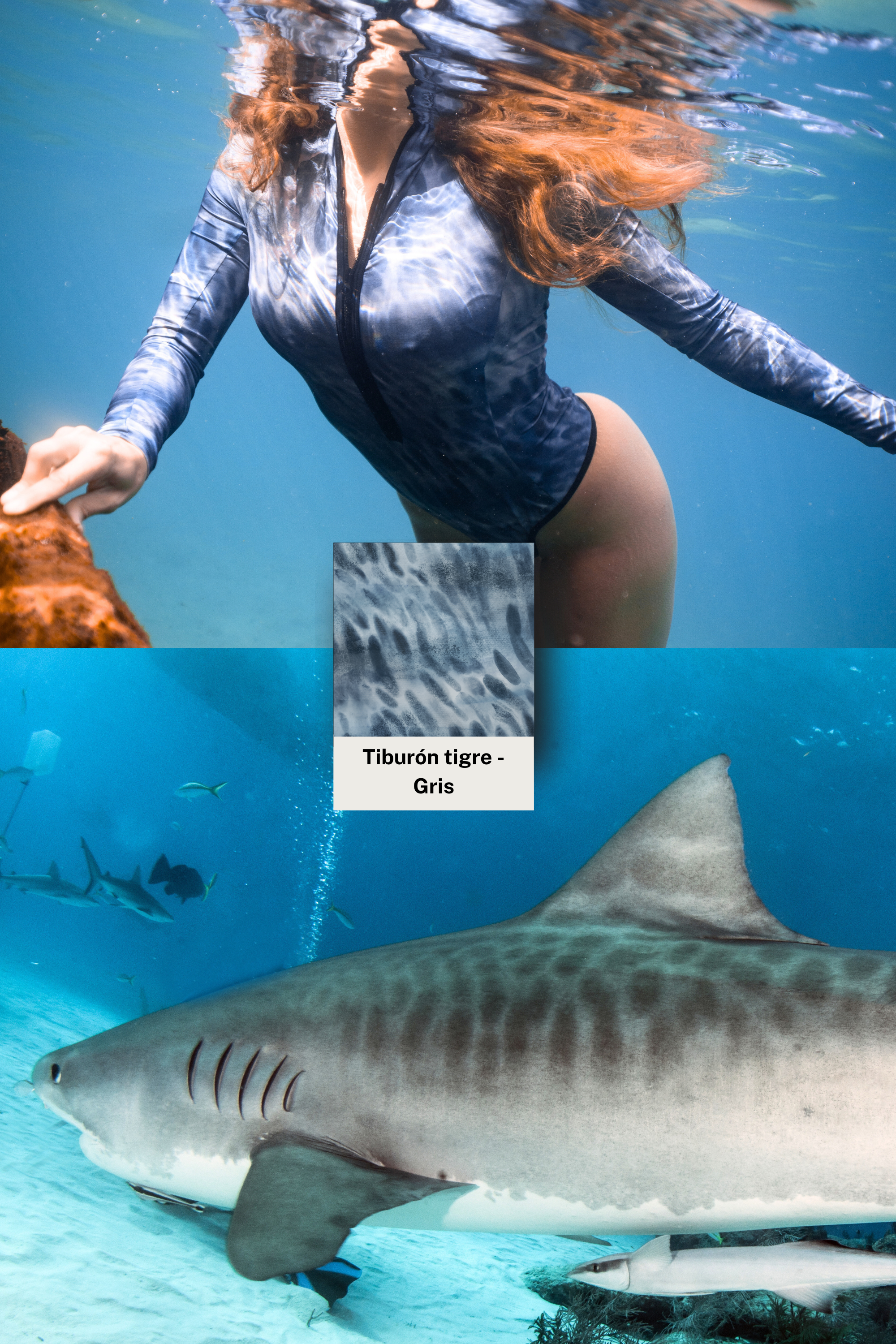 Adopte un Maillot de Bain Surf Requin Tigre - Tons Grisâtres