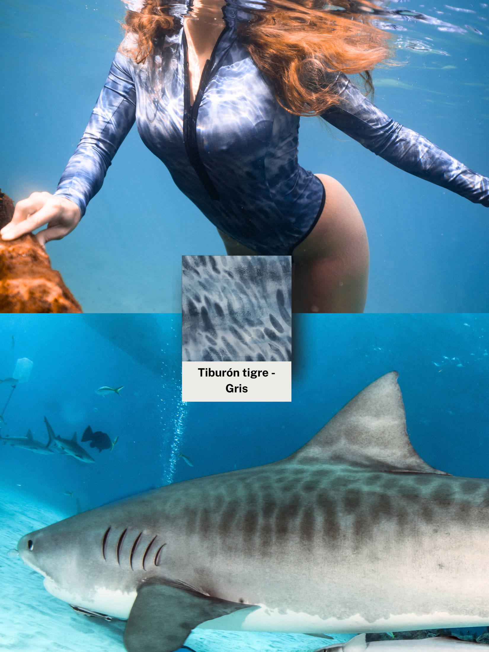 Tiger Shark Surf Swimsuit
