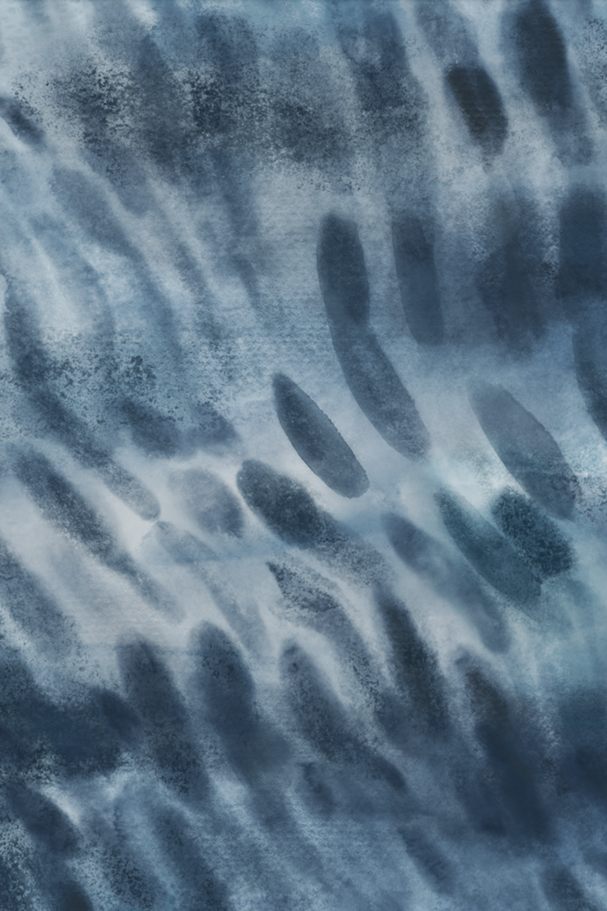 Adopte un Maillot de Bain Surf Requin Tigre - Tons Grisâtres