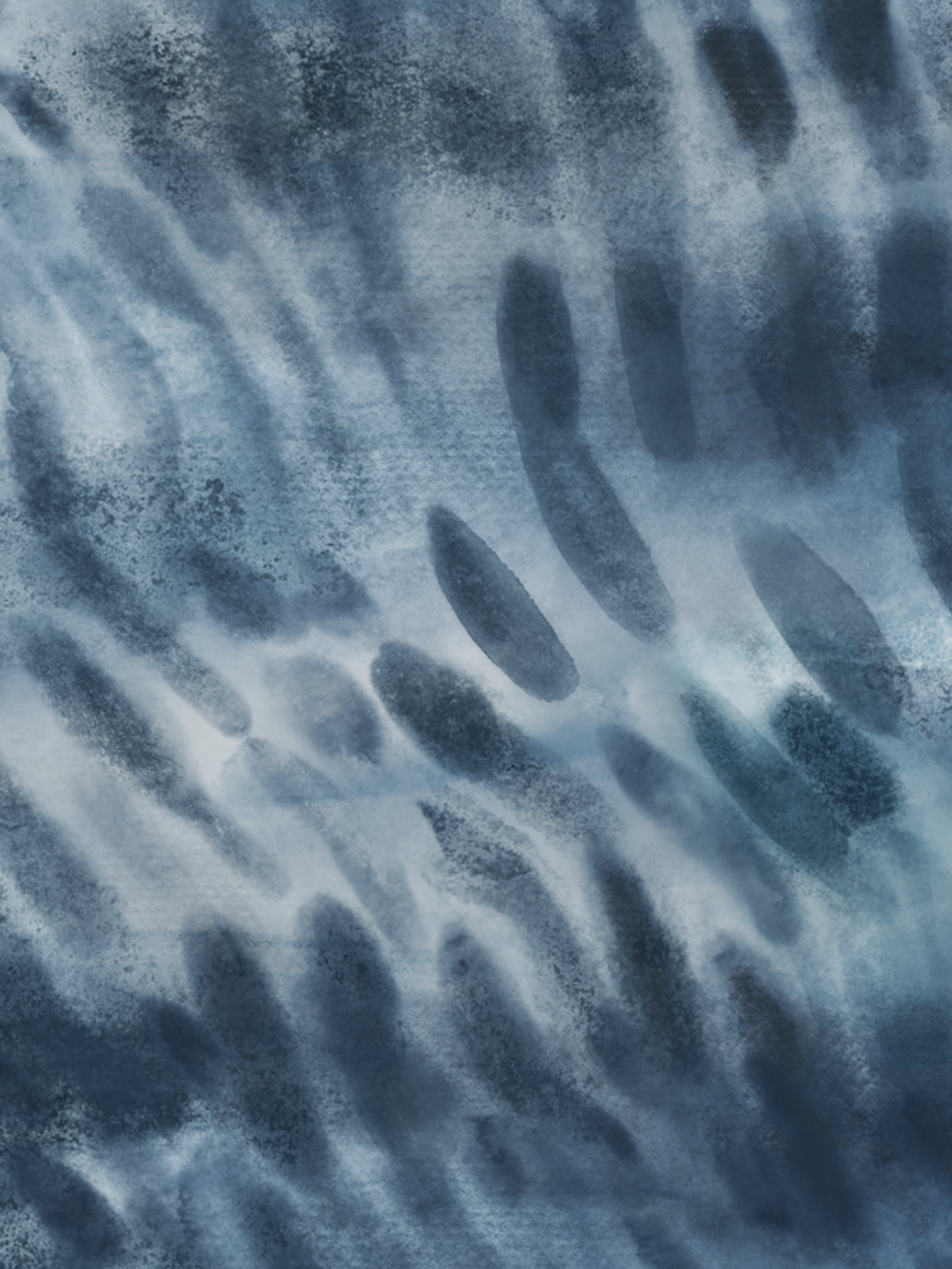 Tiger Shark Surf Swimsuit
