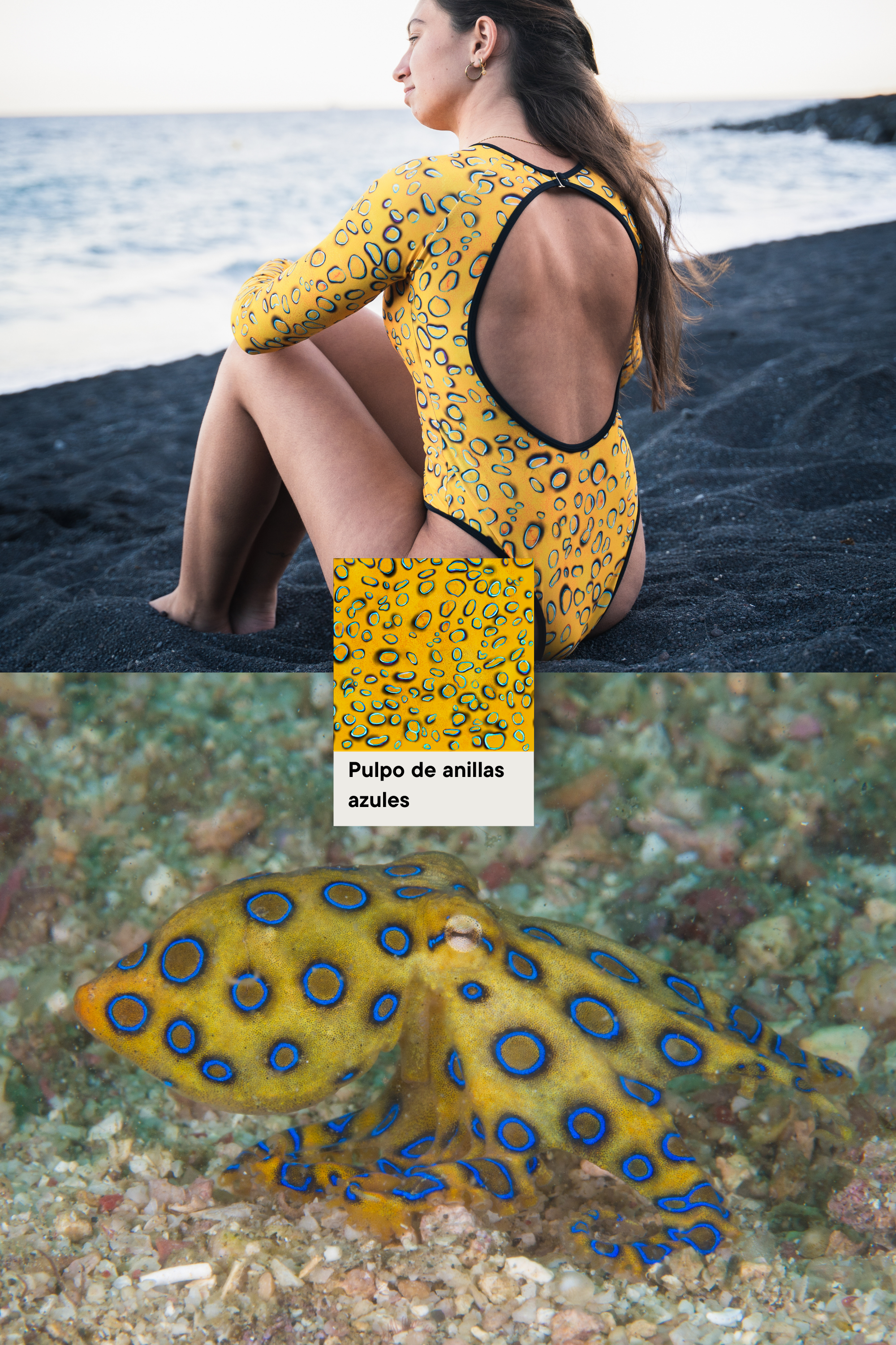 Costume da Surf a Manica Lunga - Polpo Anelli Blu (Schiena Scoperta)