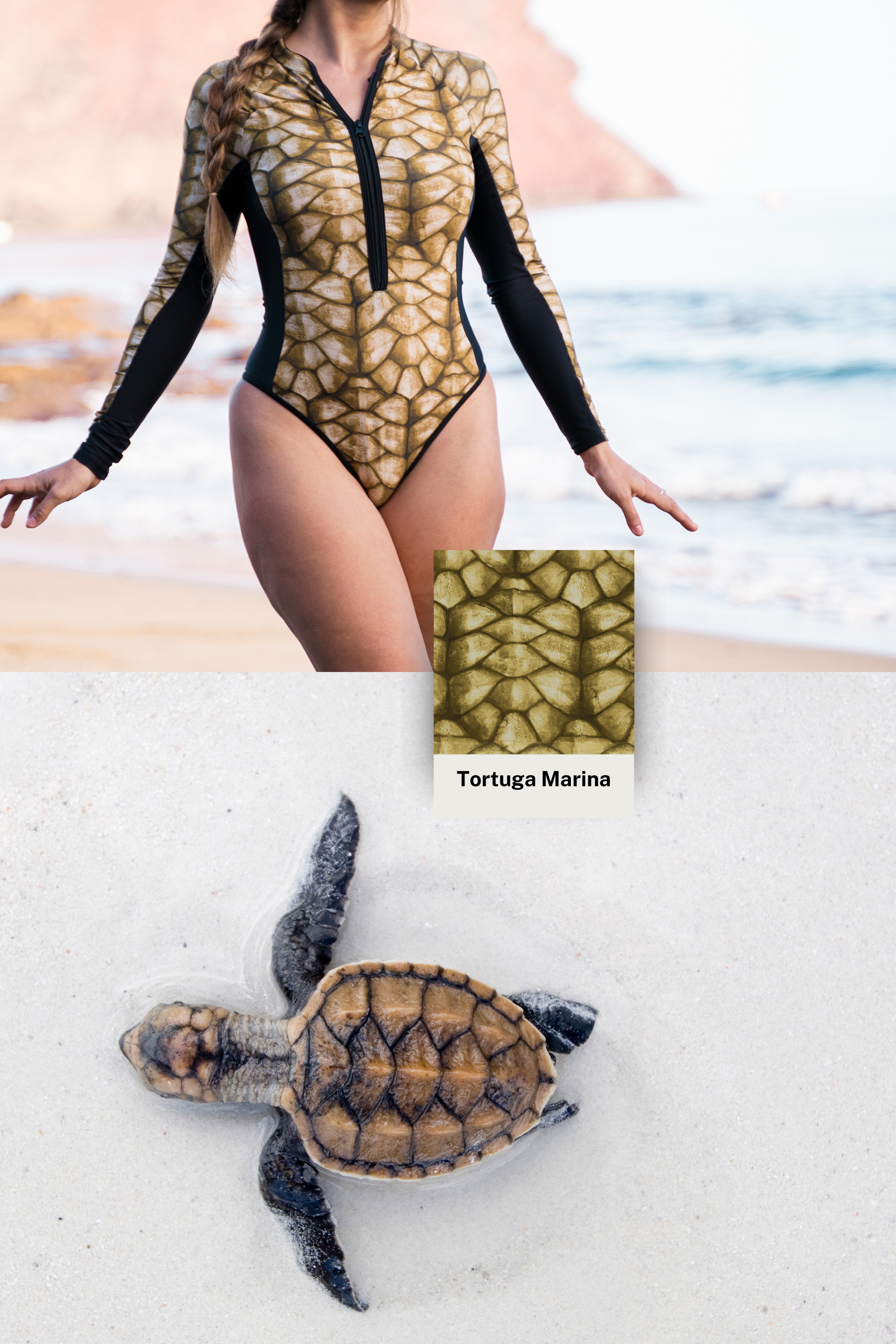 Bañador Surf Tortuga - Tonos Verdes