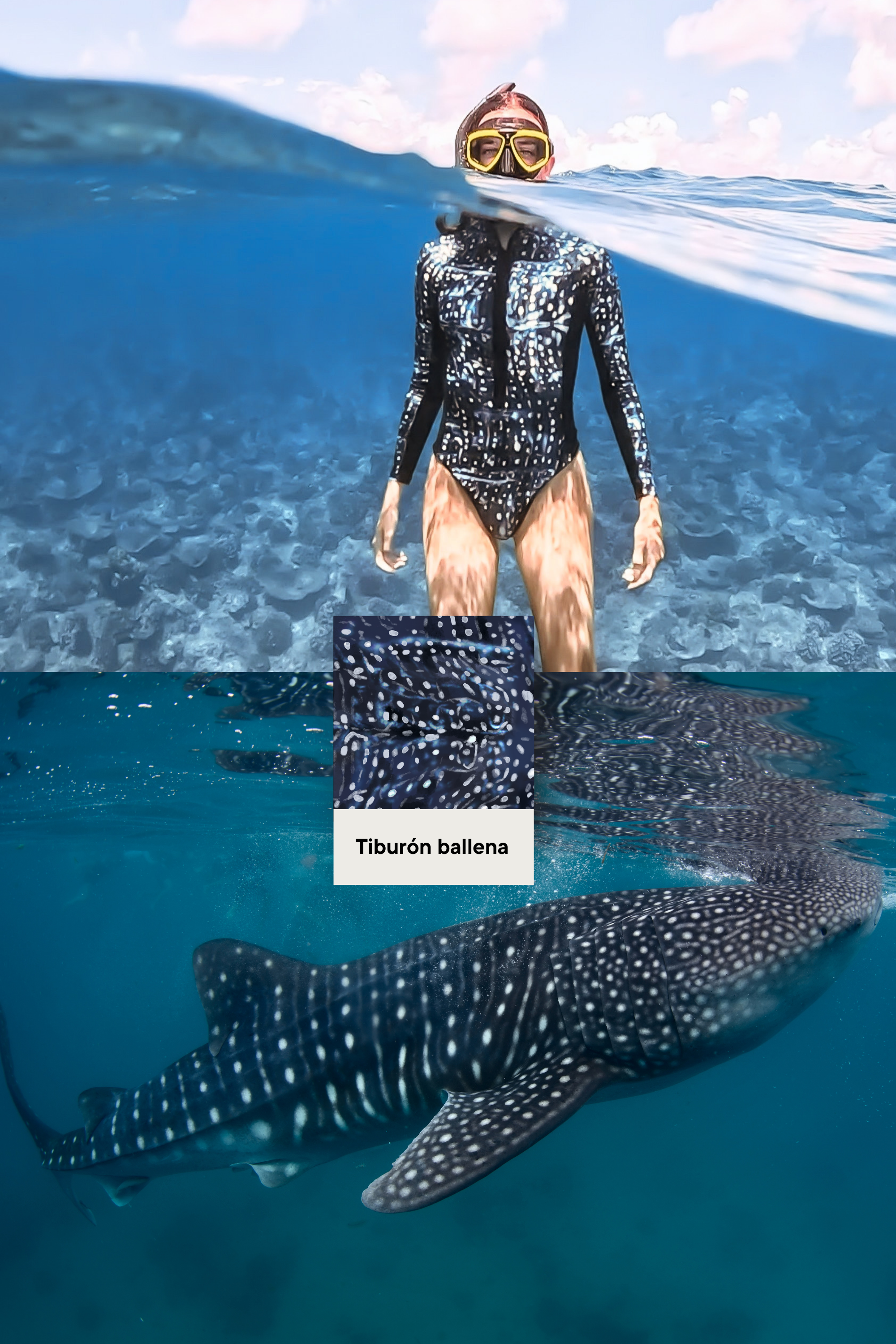 Bañador Surf Manga Larga - Tiburón Ballena