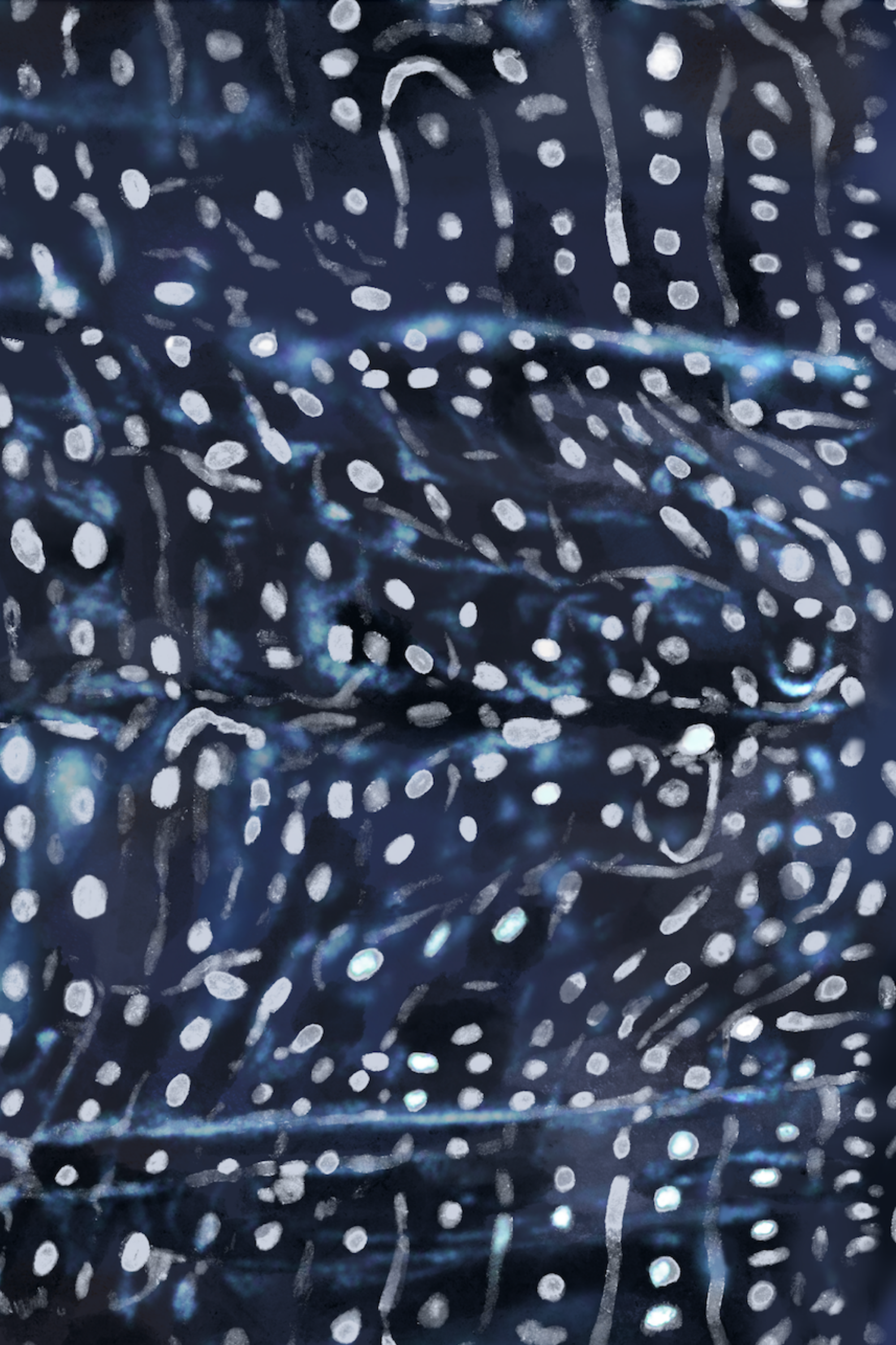 Maillot de bain Surf à Manches Longues - Requin Baleine