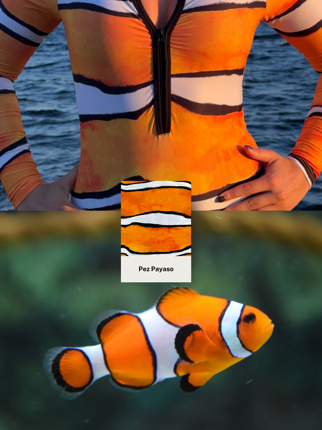 Bañador Surf Pez Payaso