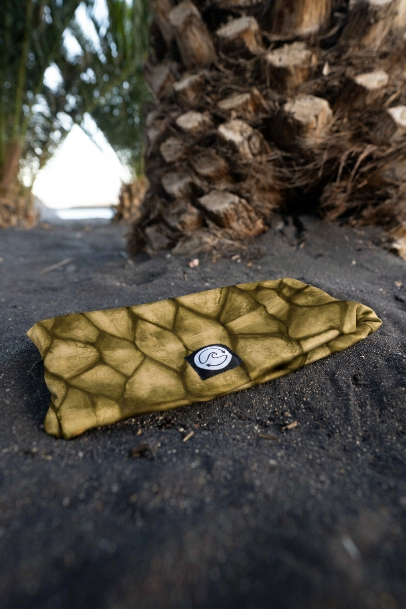 Stirnband Schildkröte