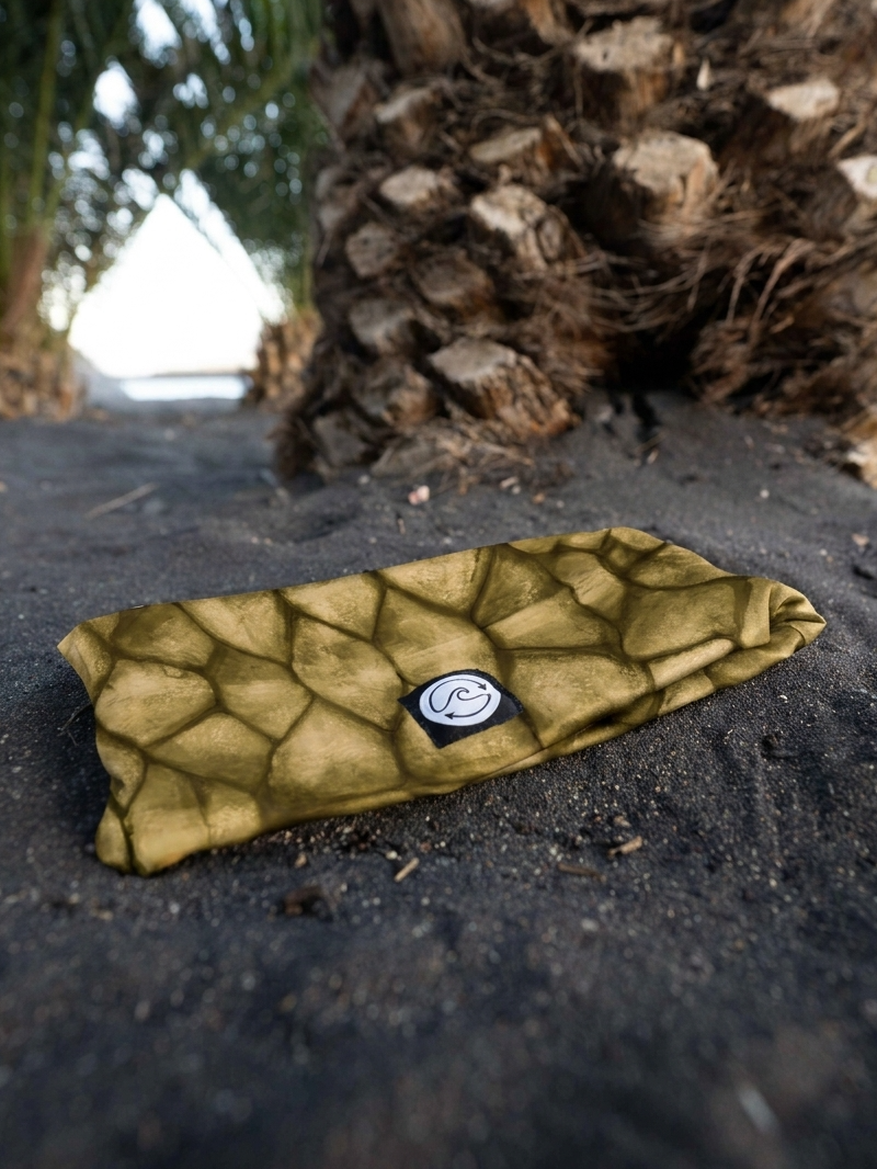 Turtle Headband