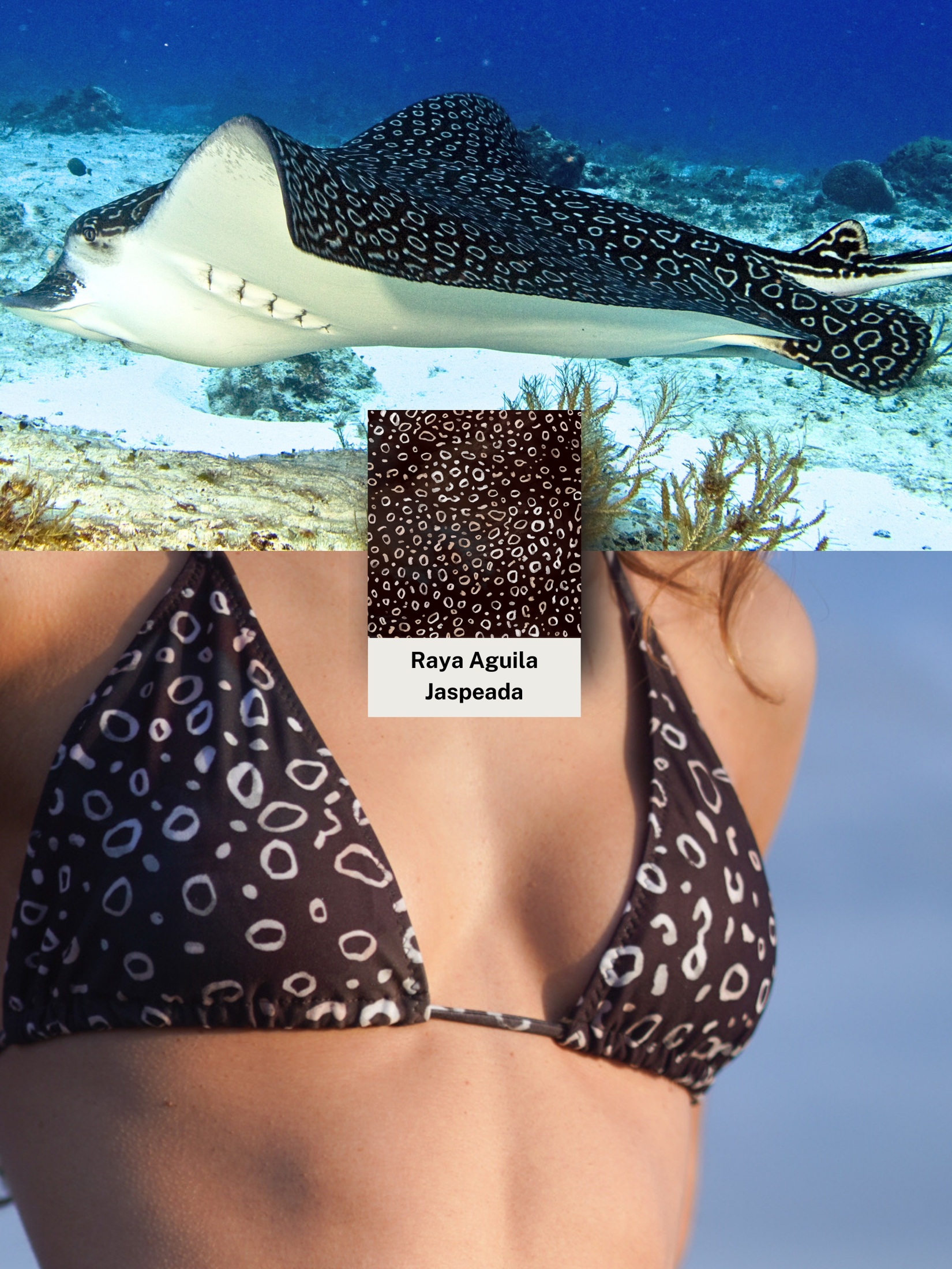 Eagle Stripe Skin Bikini