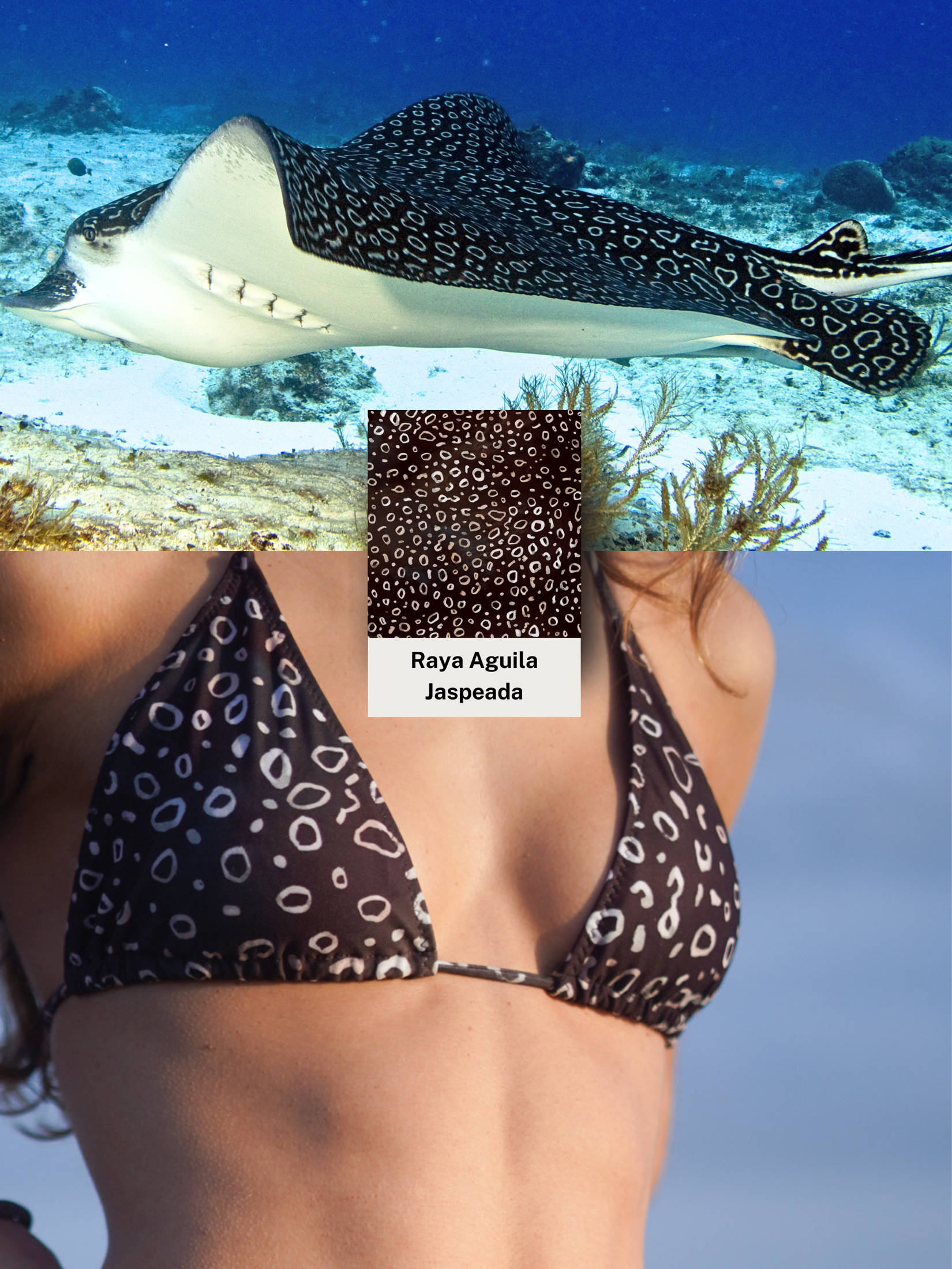 Top Bikini - Piel Raya Águila