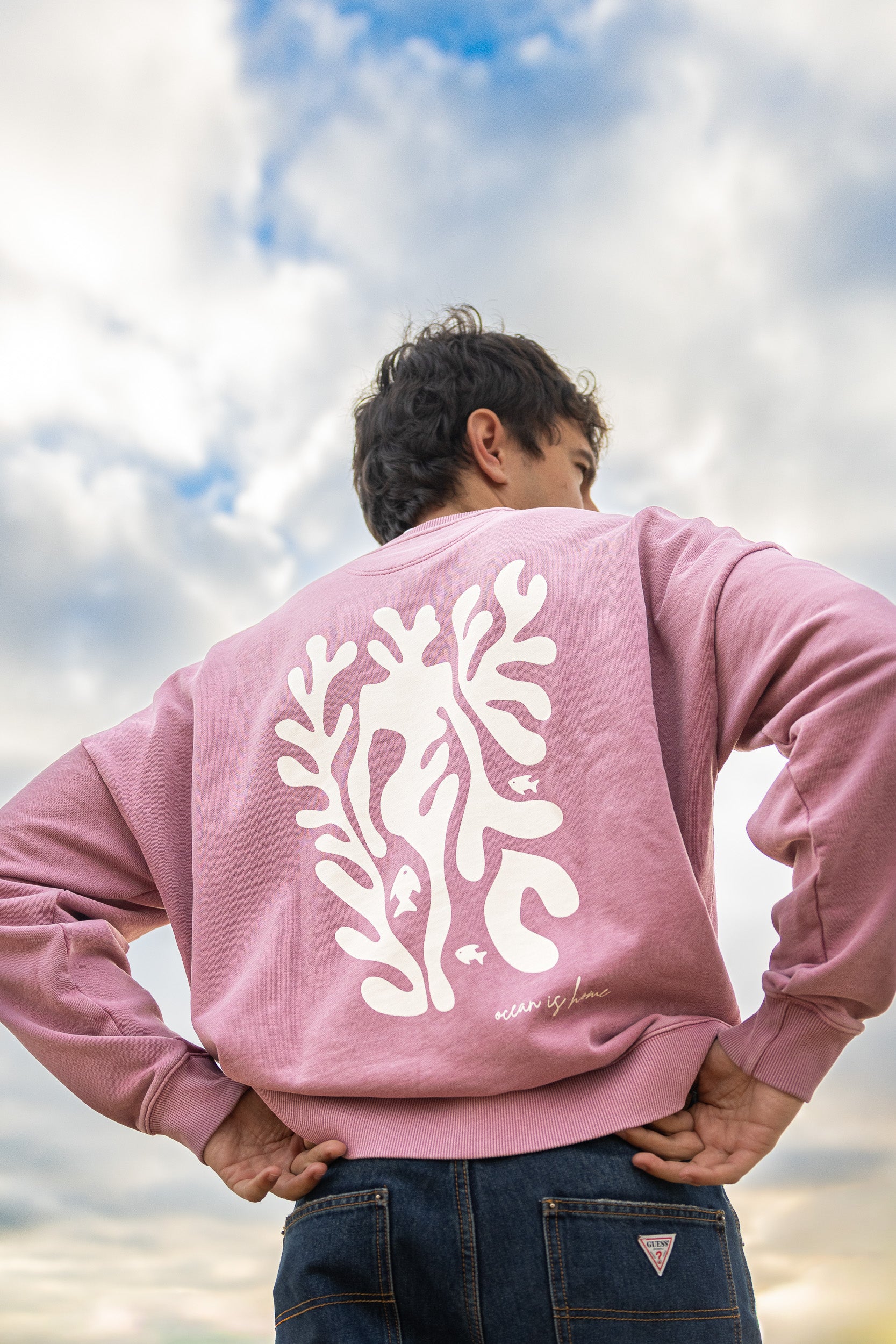 PACK 2 SUDADERAS BIOTOP