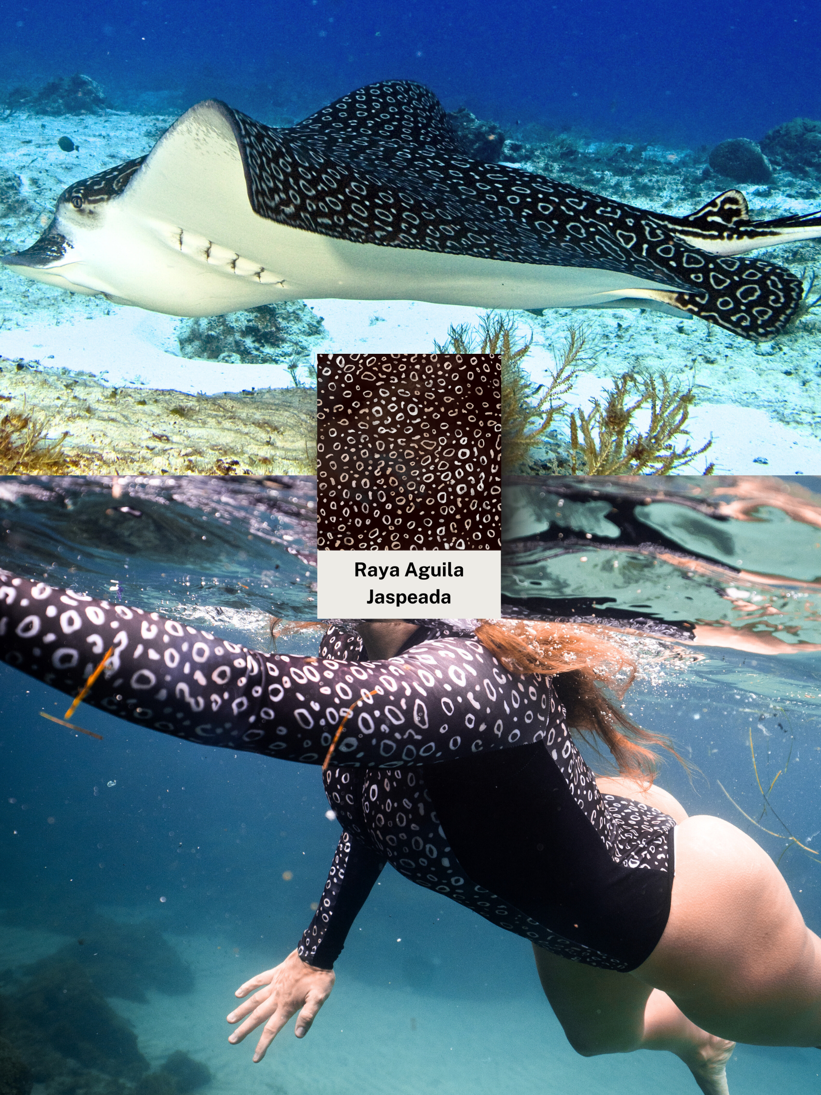 Eagle ray Surf Swimsuit