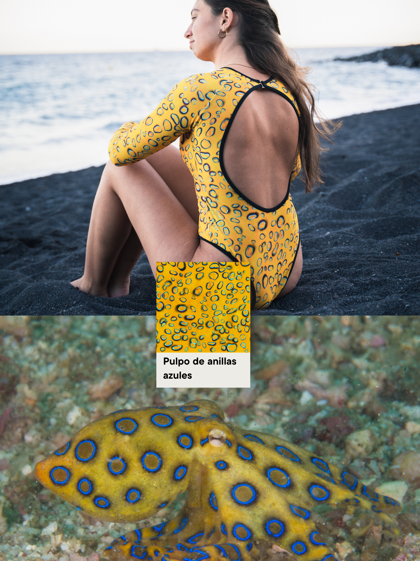 Long Sleeve Surf Swimsuit - Blue Ringed Octopus (Open Back)