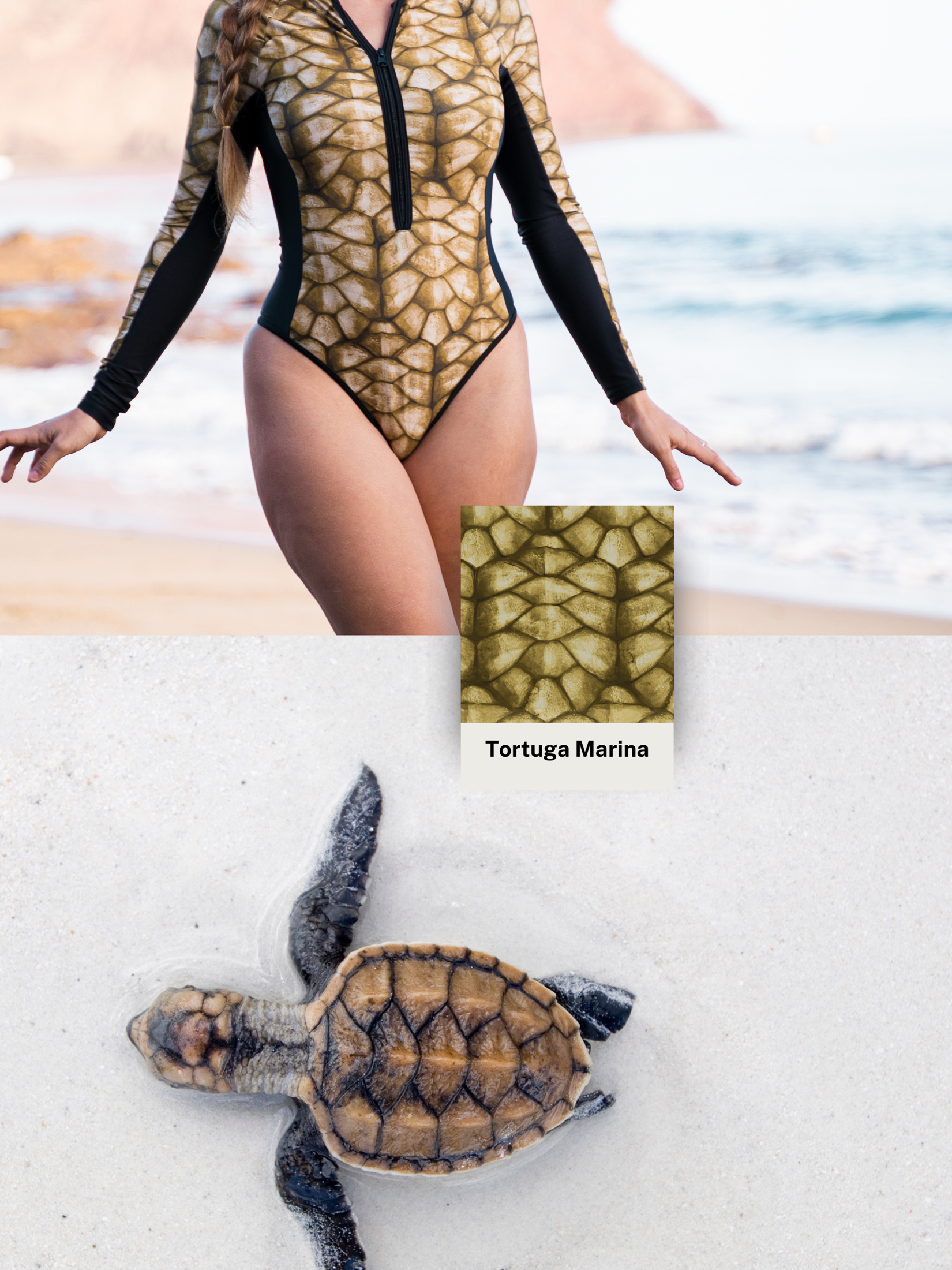 Sea turtle Surf Swimsuit