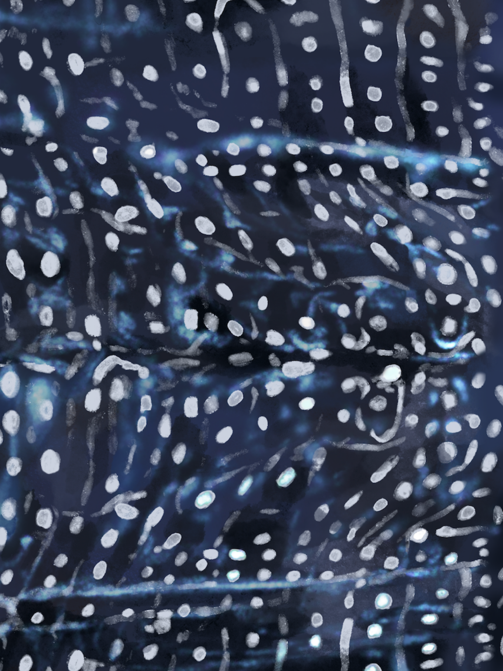 Long Sleeve Surf Swimsuit - Whale Shark