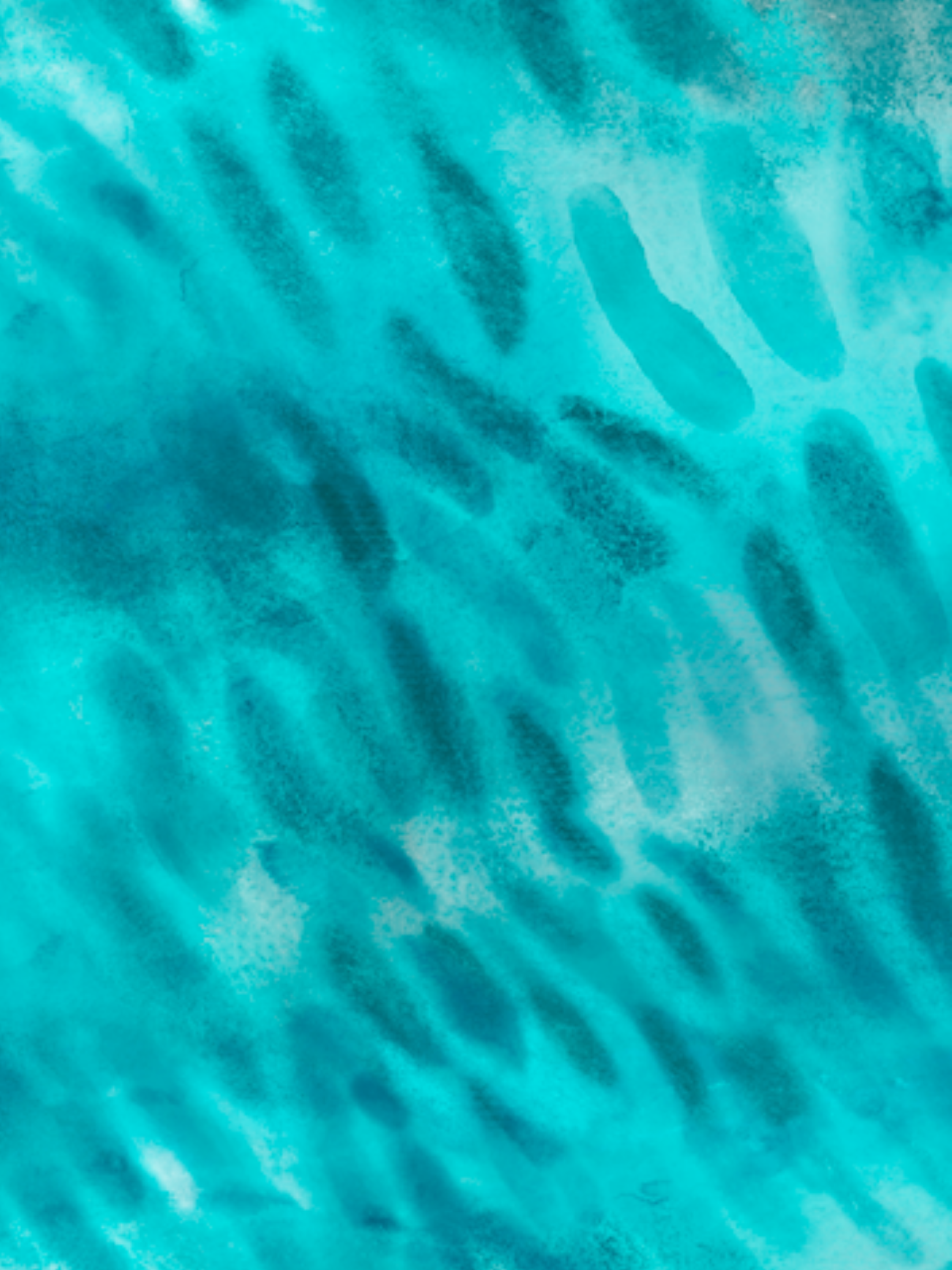 Tiger Shark Surf Swimsuit