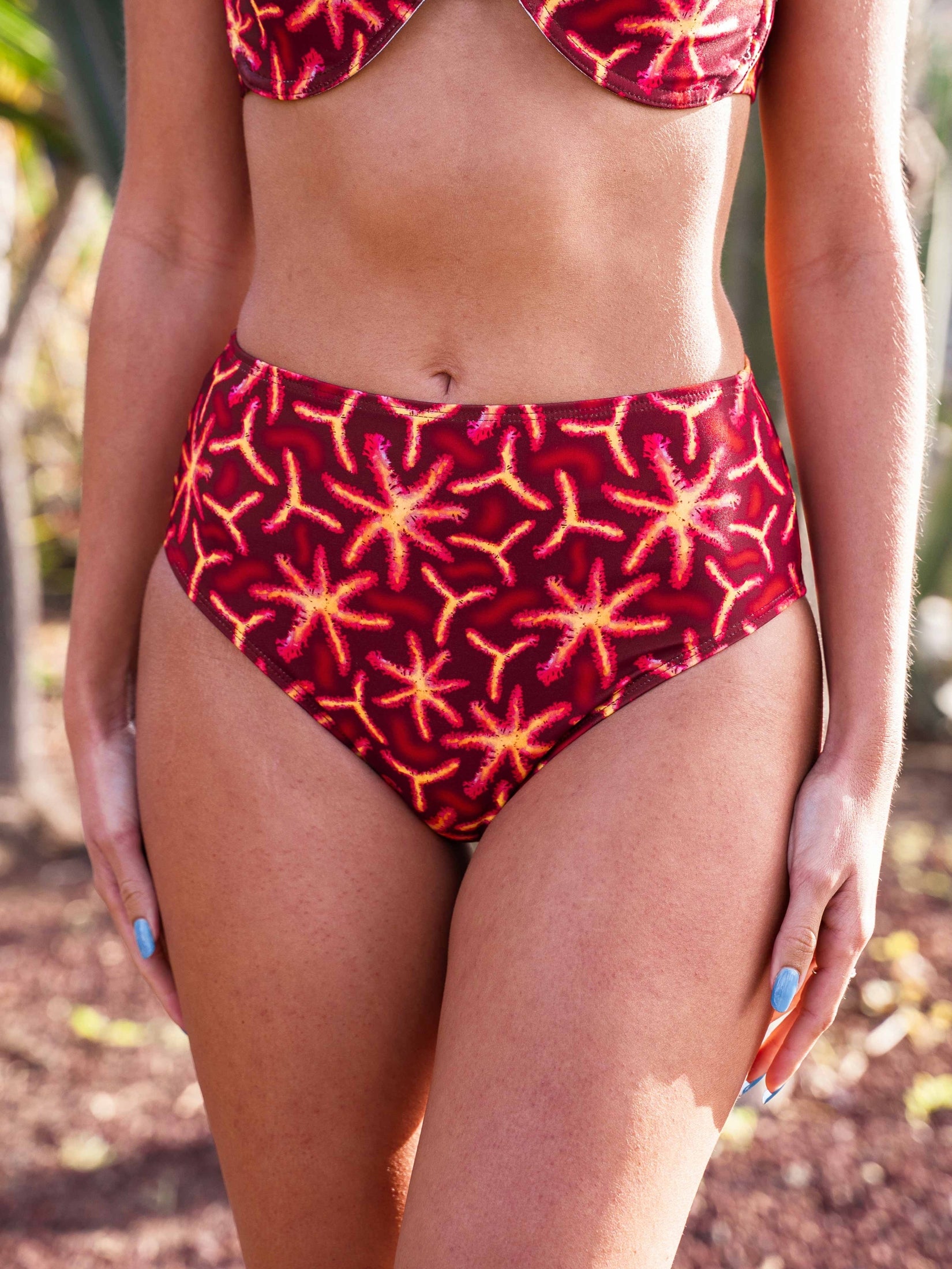 Braguita Alta Gorgonia