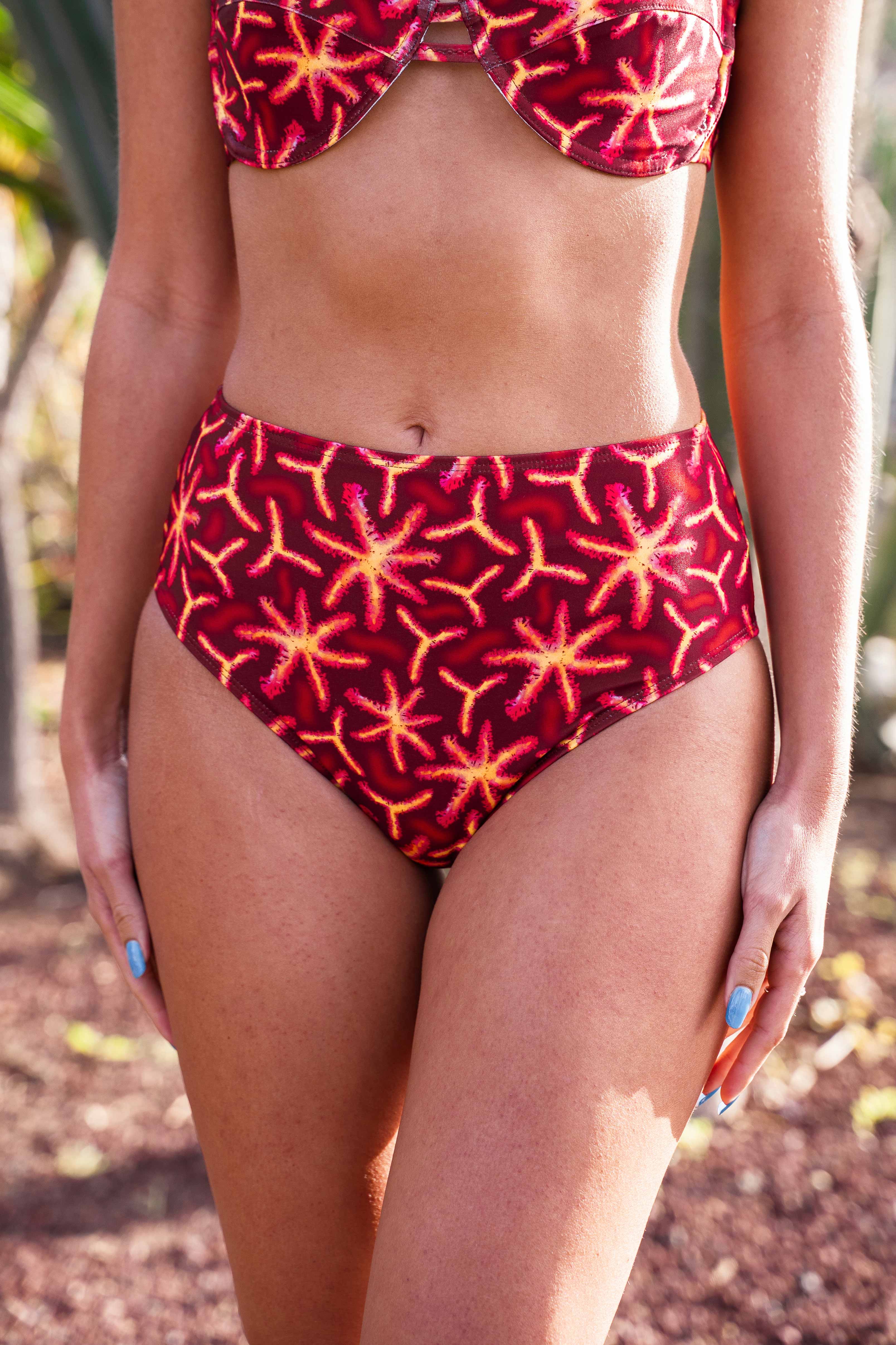 Braguita Alta Gorgonia